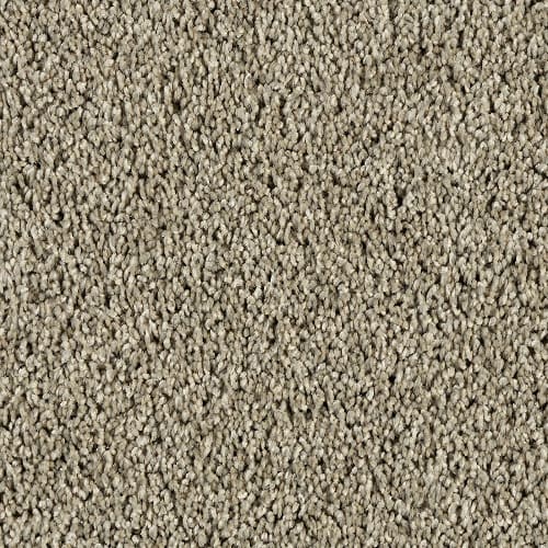 SFI Clever - 4659 Astute